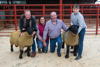 Champion and Reserve Suffolk Ram
